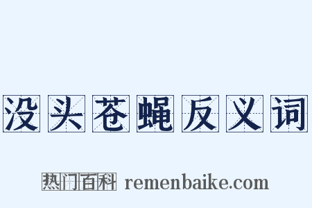 没头苍蝇反义词是什么意思的图片